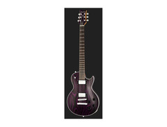 Harley Benton Agufish Custom Signature BT PB image 2