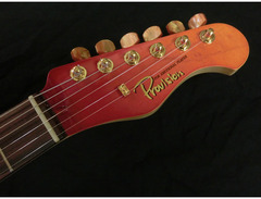Provision Karakusa Series Guitar image 4