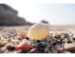 Sony SEL15F14G 15mm Wide Angle Lens image 3