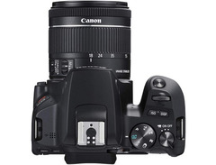 Canon EOS Rebel SL3 DSLR Camera image 4