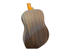 Walden Guitars D560CE Acoustic Guitar image 2