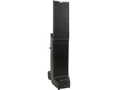Anchor Audio Bigfoot 3 Hub Portable Sound System with AnchorLink Dual Wireless Mic Receiver and AnchorFlex Transceiver image 4