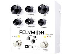 Meris Polymoon image 3