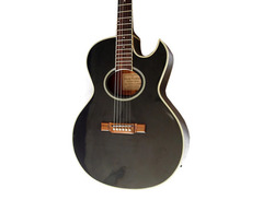 Washburn EA-50 Festival Series image 2