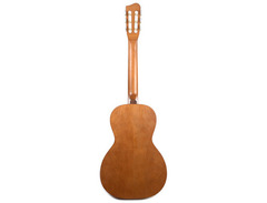 Art & Lutherie Ami Nylon Cedar image 2