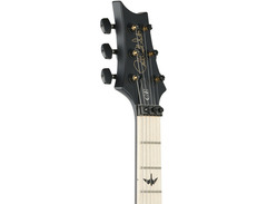 PRS Dustie Waring CE 24 Floyd image 4