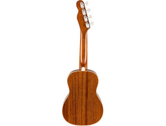 Fender Zuma image 2