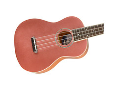 Fender Zuma image 3