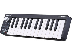 Worlde Easykey 25 image 2