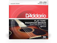 D'Addario EFT17 image 2
