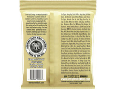 Ernie Ball 2006 Earthwood Bronze Extra Light image 3