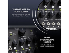 Strymon Magneto Four Head dTape Echo and Looper image 4