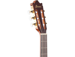 Ibanez Galvador GA5TCE Classical Acoustic image 4