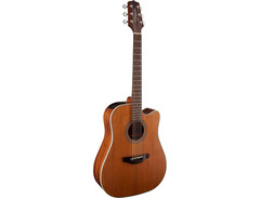 Takamine GD20CE-NS image 2