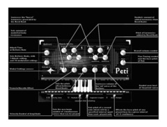 Nusofting Peti image 2