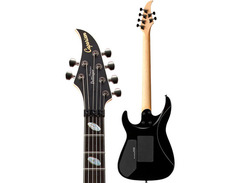 Caparison Dellinger Prominence image 2