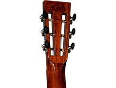 Blueridge BR-341 image 4
