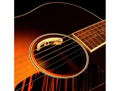 L.R. Baggs Anthem Tru-Mic Acoustic Pickup image 3