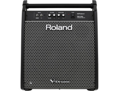 Roland PM-200 image 2