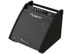 Roland PM-200 image 4