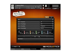 Big Fish Audio Acou6tics image 3