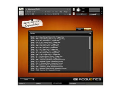 Big Fish Audio Acou6tics image 4