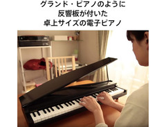 Korg MicroPiano image 2