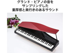 Korg MicroPiano image 3