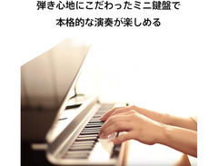 Korg MicroPiano image 4