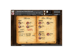 Soundiron Kontakt Player Bundle image 4