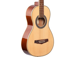 Ibanez PN1 Acoustic Guitar image 2