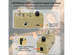 Hoerev Looper image 3