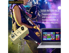 Hoerev Looper image 4