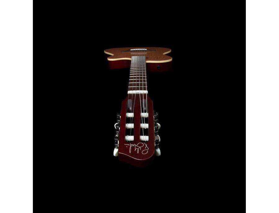 Godin Multiac Nylon Encore 7 Natural SG - What To Know & Where To