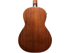 Ibanez PNB14E-OPN image 2