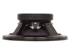 Eminence Ragin Cajun 10" image 3