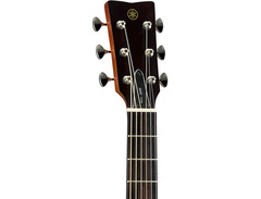 Yamaha FGX5 Red Label image 3