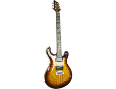 IYV (Ivy) IP-300 image 2