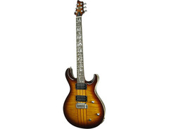 IYV (Ivy) IP-300 image 4
