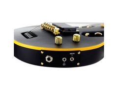 Traveler Guitar LTD EC-1 image 4
