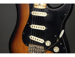 LSL Instruments Saticoy One Guitar image 3