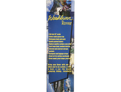 Washburn Rover RO10B image 2