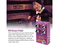 Joyo R-13 XVI image 2