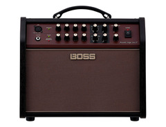 Boss Acoustic Singer Live LT image 2
