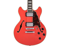 D'Angelico Premier Mini DC image 3