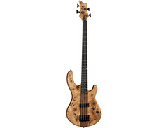 Dean Edge Pro Select 6 image 3
