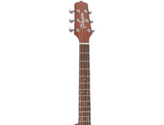 Takamine Pro Series P1NC image 4
