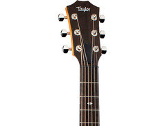 Taylor GTe Urban Ash image 3