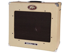 Peavey Delta Blues 30W 2x10 Tube Combo Guitar Amp image 2