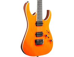 Ibanez RGR5221 image 3